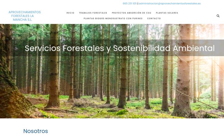 Screenshot of aprovechamientosforestales.es