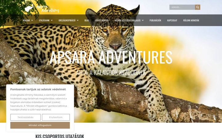 Screenshot of apsaraadventures.com