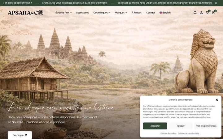 Screenshot von apsaraco.com