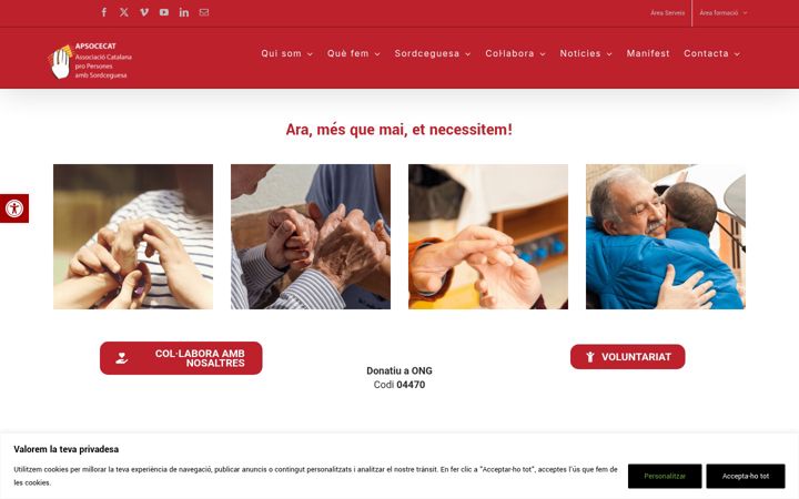 Screenshot di apsocecat.org
