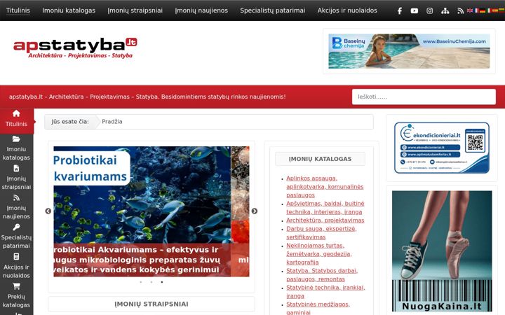 Screenshot of apstatyba.lt