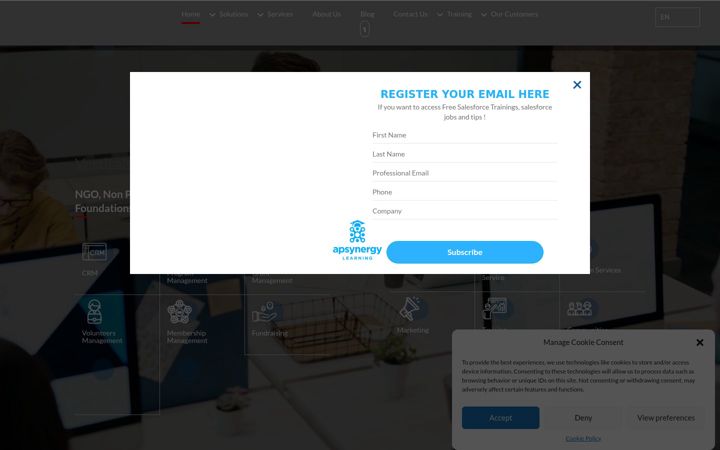 Snímek obrazovky apsynergy.com