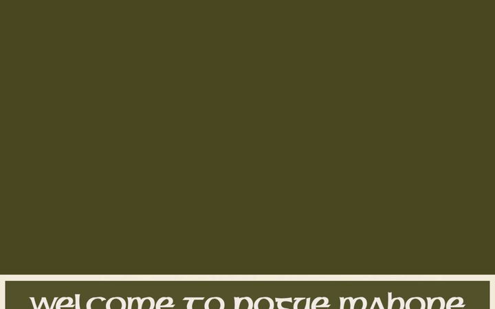 Screenshot of apubcalledpogues.com