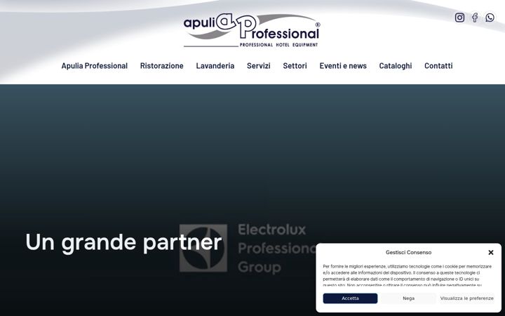Screenshot του apuliaprofessional.it