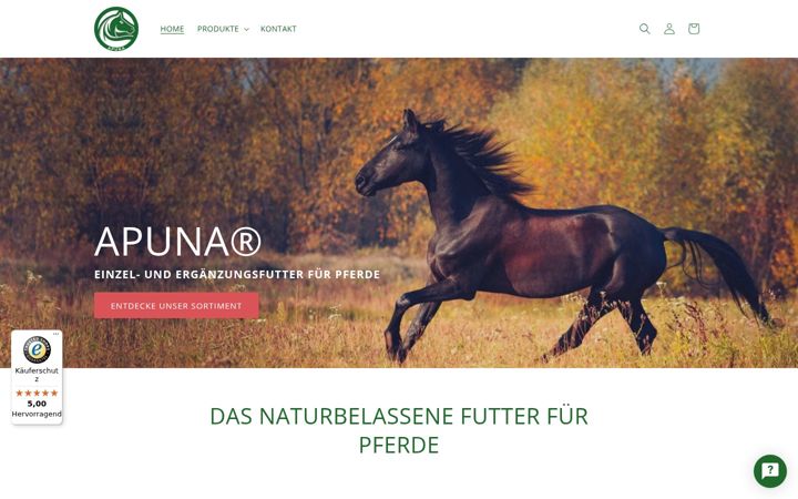 Screenshot of apuna-shop.de
