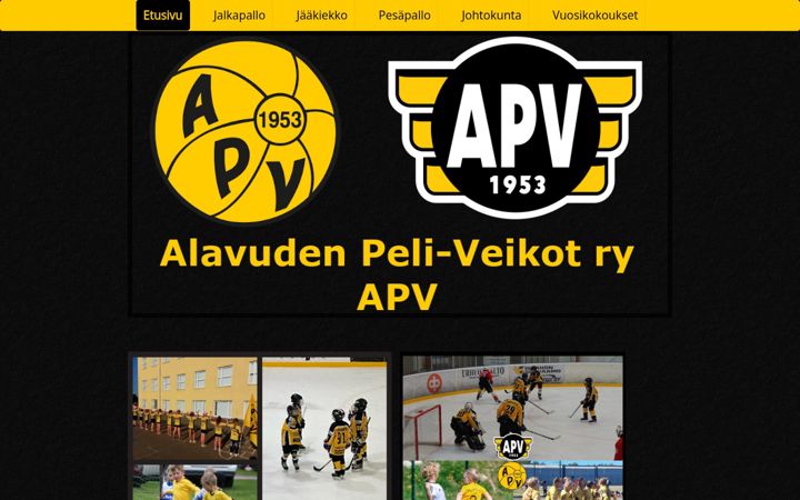 Screenshot of apv.fi