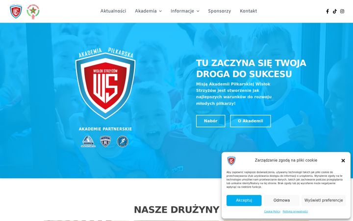 Screenshot of apwislokstrzyzow.pl