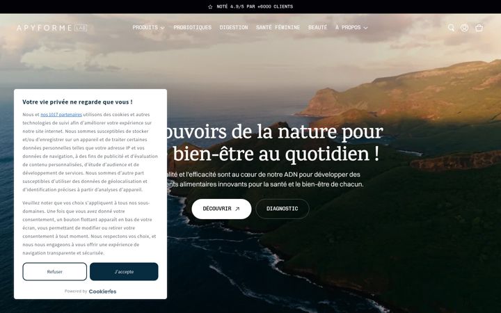 Zrzut ekranu apyforme.com