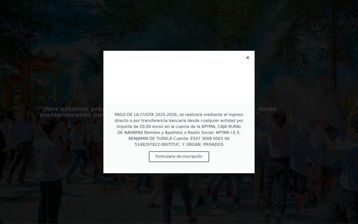 Screenshot of apymaiesbenjamintudela.es