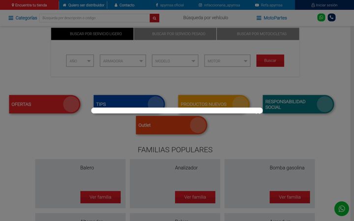 Screenshot of apymsa.com.mx