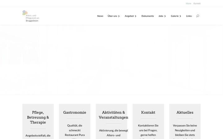 Screenshot von apzb.ch