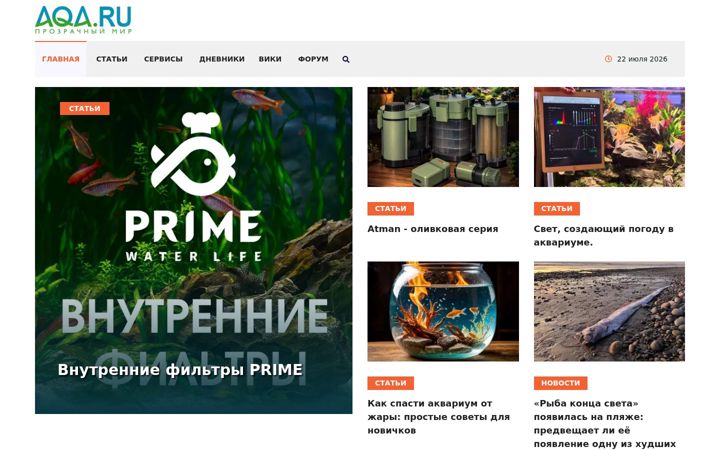 Screenshot of aqa.ru