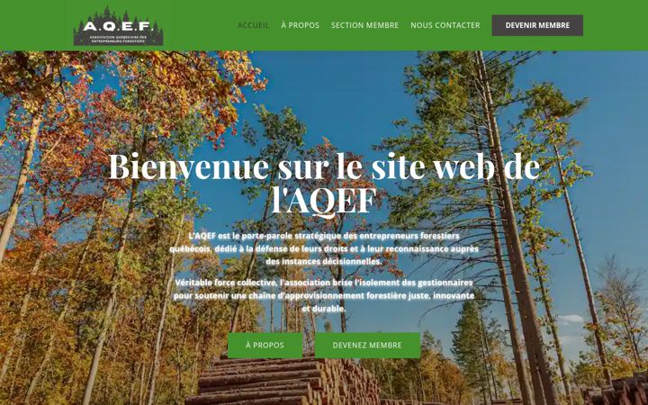 Screenshot of aqefweb.com