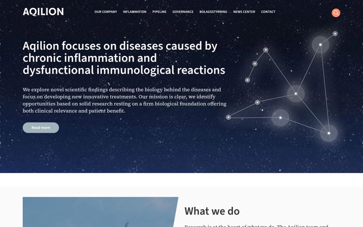 Screenshot of aqilion.com