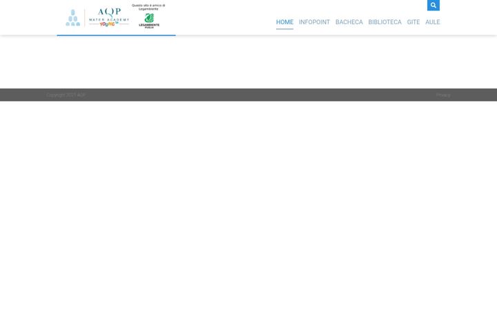 Screenshot of aqpwateracademyoung.it