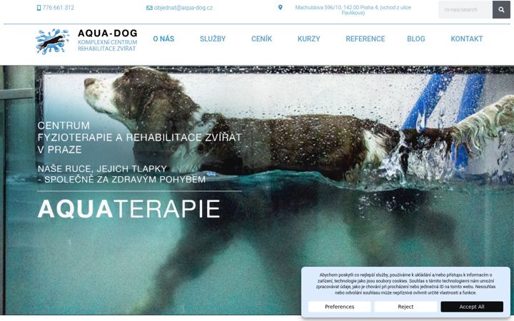 Screenshot of aqua-dog.cz