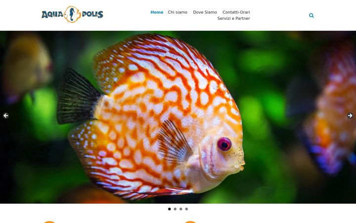 Screenshot of aqua-polis.it