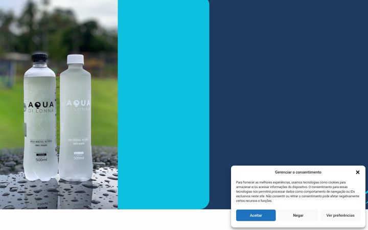Screenshot of aquadilonna.com