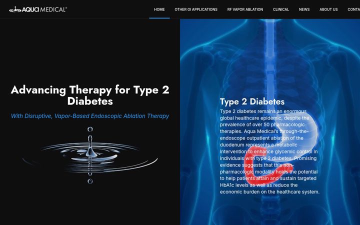 Zrzut ekranu aquaendoscopy.com
