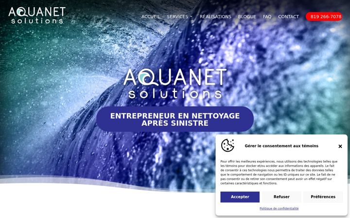 Snímek obrazovky aquanetsolutions.com