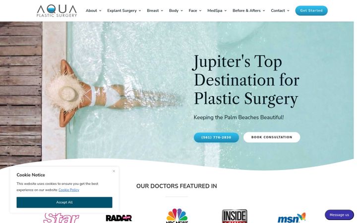 Snímek obrazovky aquaplasticsurgery.com
