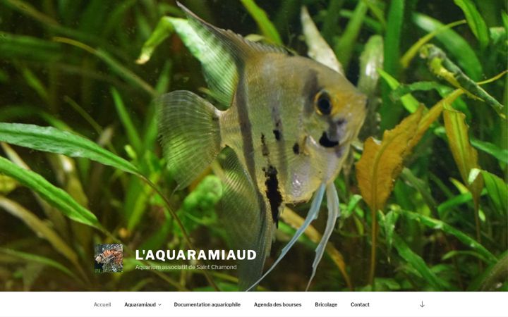Captură de ecran a aquaramiaud.com