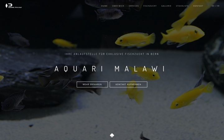 Screenshot of aquari-malawi.ch