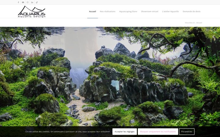 Screenshot of aquarilis.fr