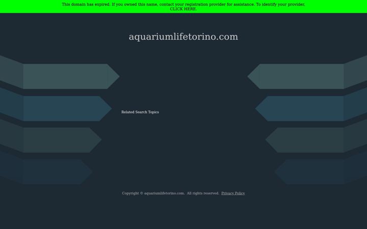 Screenshot di aquariumlifetorino.com