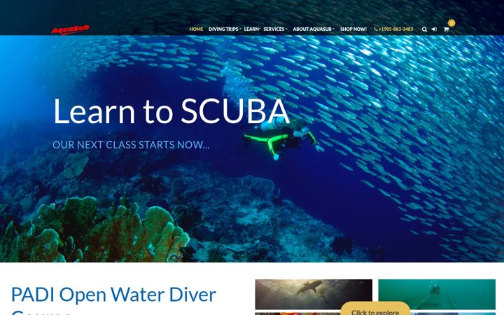 Zrzut ekranu aquasubscuba.com