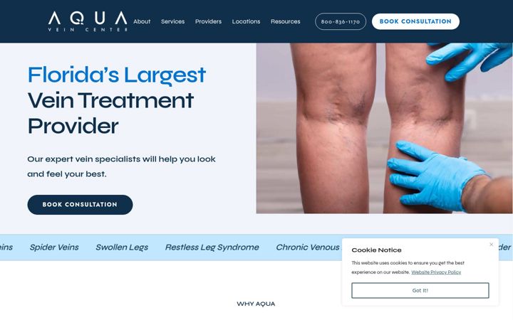 Screenshot του aquaveincenter.com