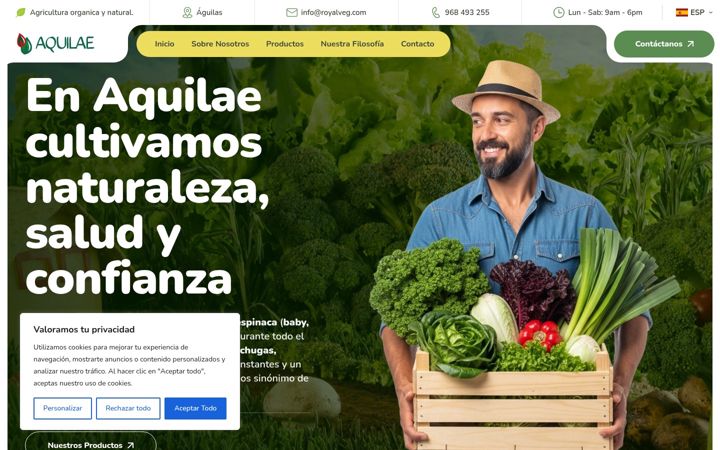 Screenshot of aquilaesl.com