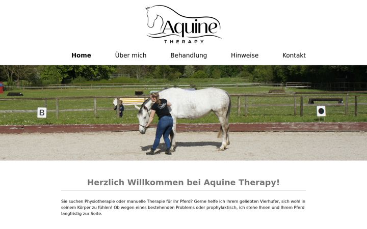 Screenshot of aquine-therapy.de