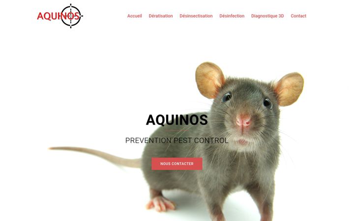 Screenshot of aquinos.fr