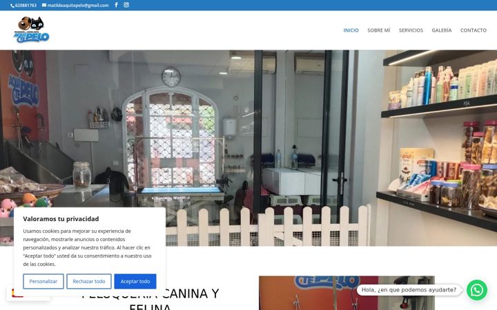Screenshot of aquitepelo.es