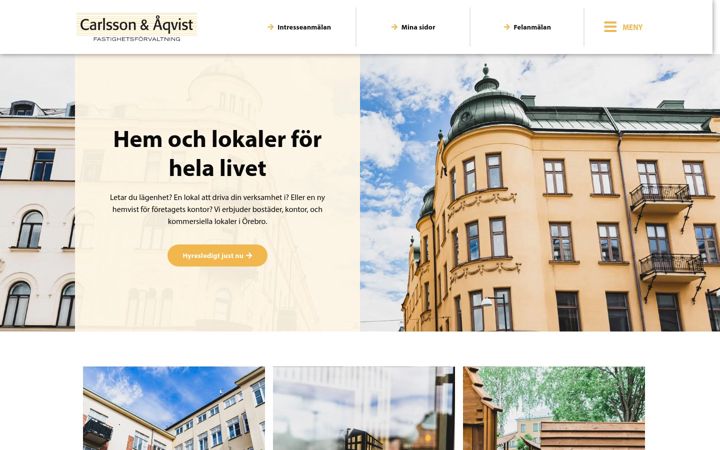 Screenshot of aqv.se