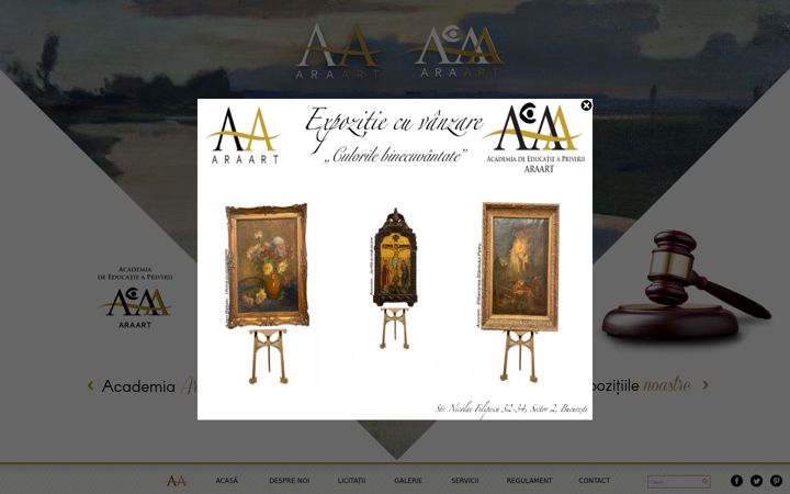 Screenshot of araart.ro