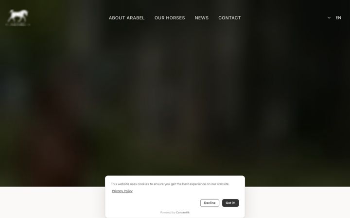 Screenshot di arabelarabians.com