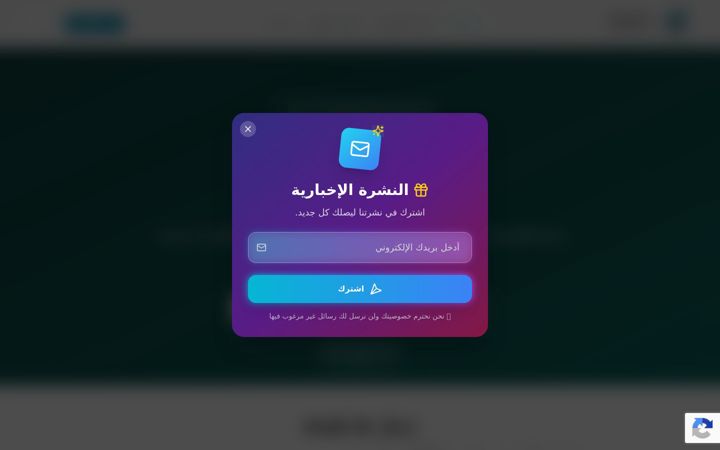 Screenshot of arabi.fi