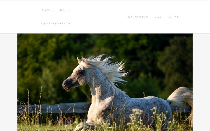 Screenshot ta' arabians-pintar.com