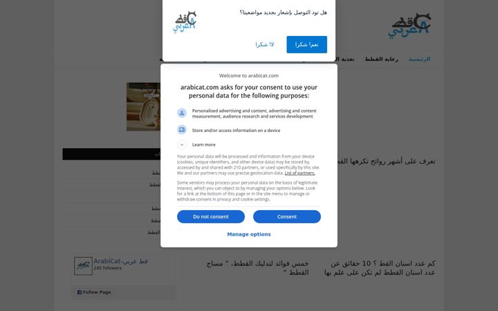Kuvakaappaus sivustosta arabicat.com