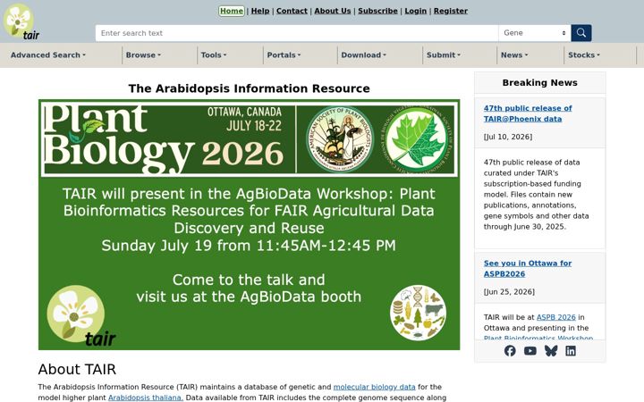 Screenshot of arabidopsis.org