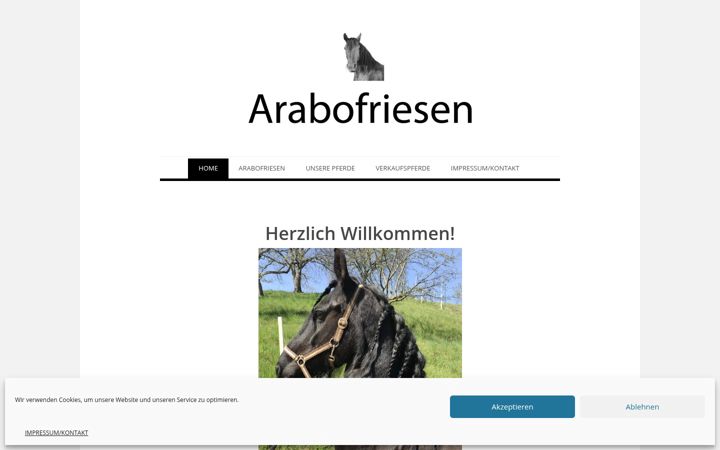 Ekrano kopija arabofriesen.at