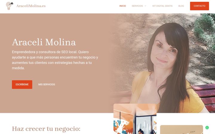 Screenshot of aracelimolina.es