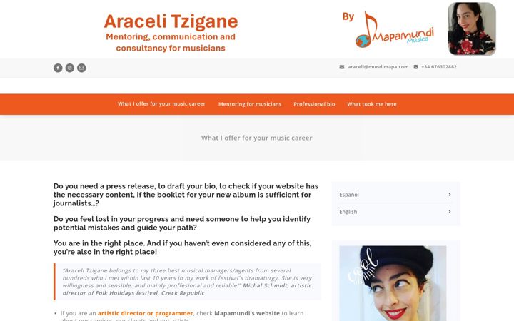 Screenshot of aracelitzigane.com