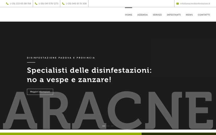 Skärmbild av aracnedisinfestazioni.com