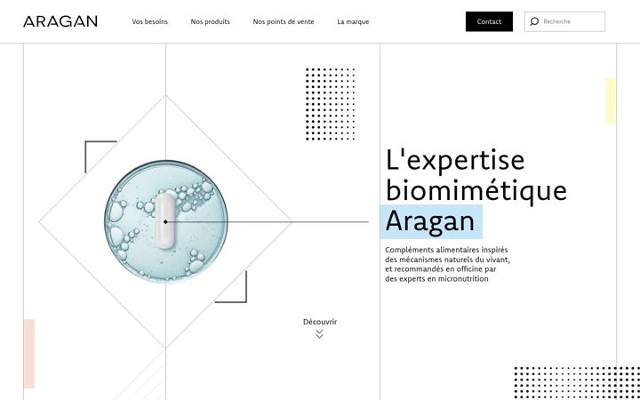 Screenshot of aragan.fr