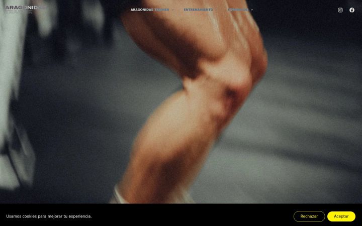 Screenshot of aragonidastrainer.com
