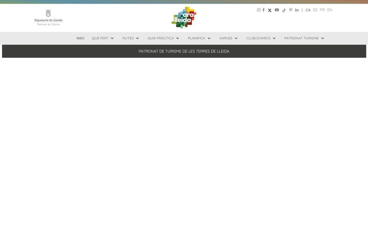 Screenshot ta' aralleida.cat