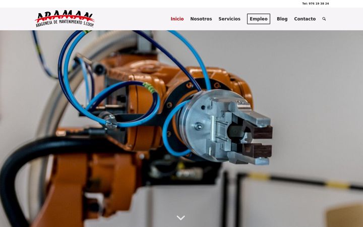 Screenshot of araman.es
